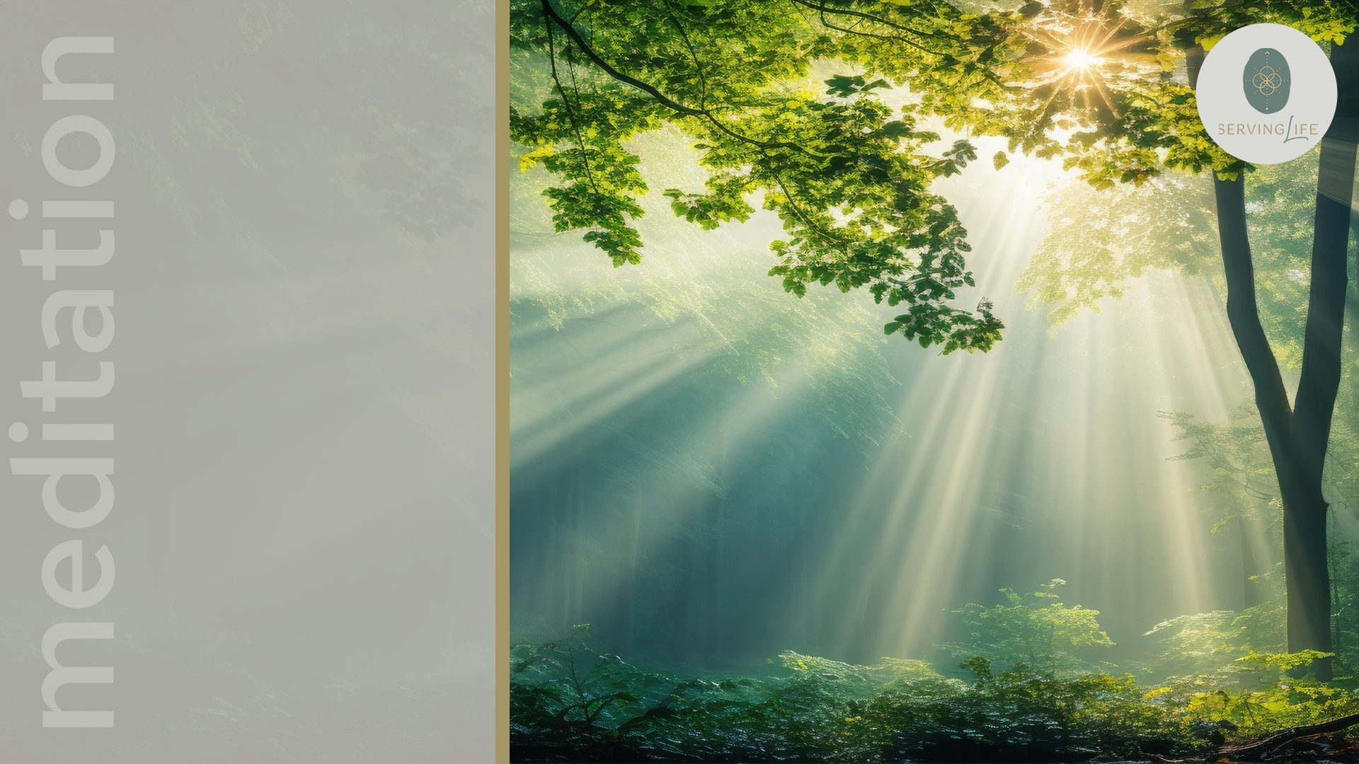 Schamanische Pflanzenheilkunst und Wegbegleitung